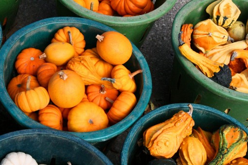 Produce Stand 05